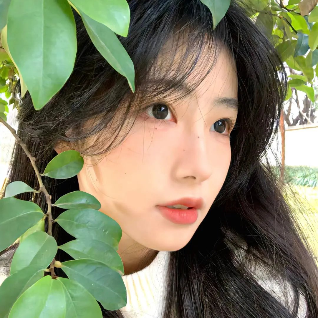 校花冒牌男友